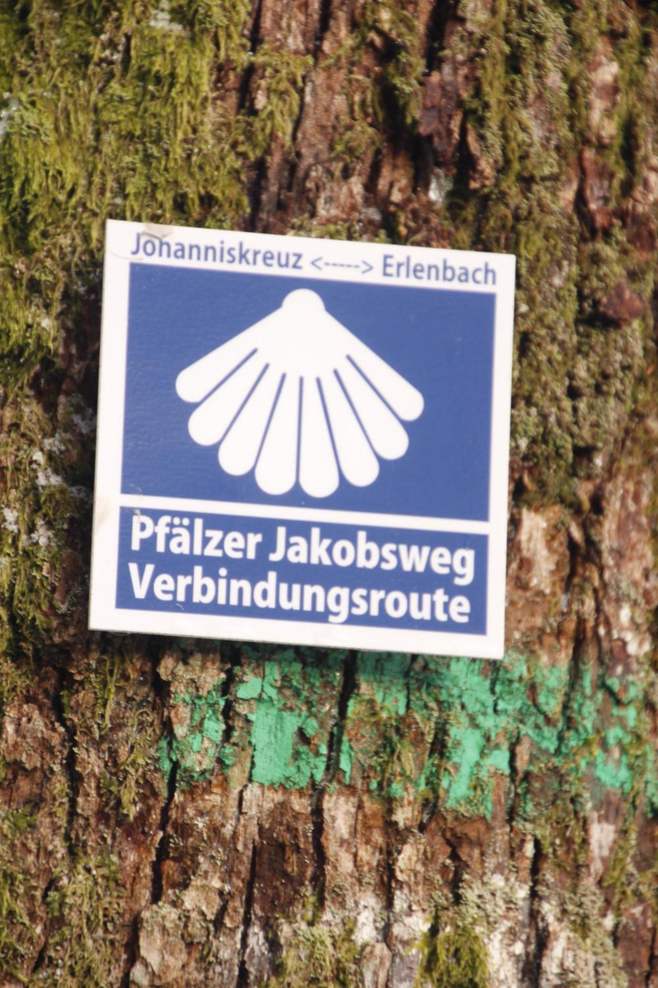 Ferienwohung Am Felsenwanderweg Im Pfaelzerwald Leilighet Rodalben Eksteriør bilde
