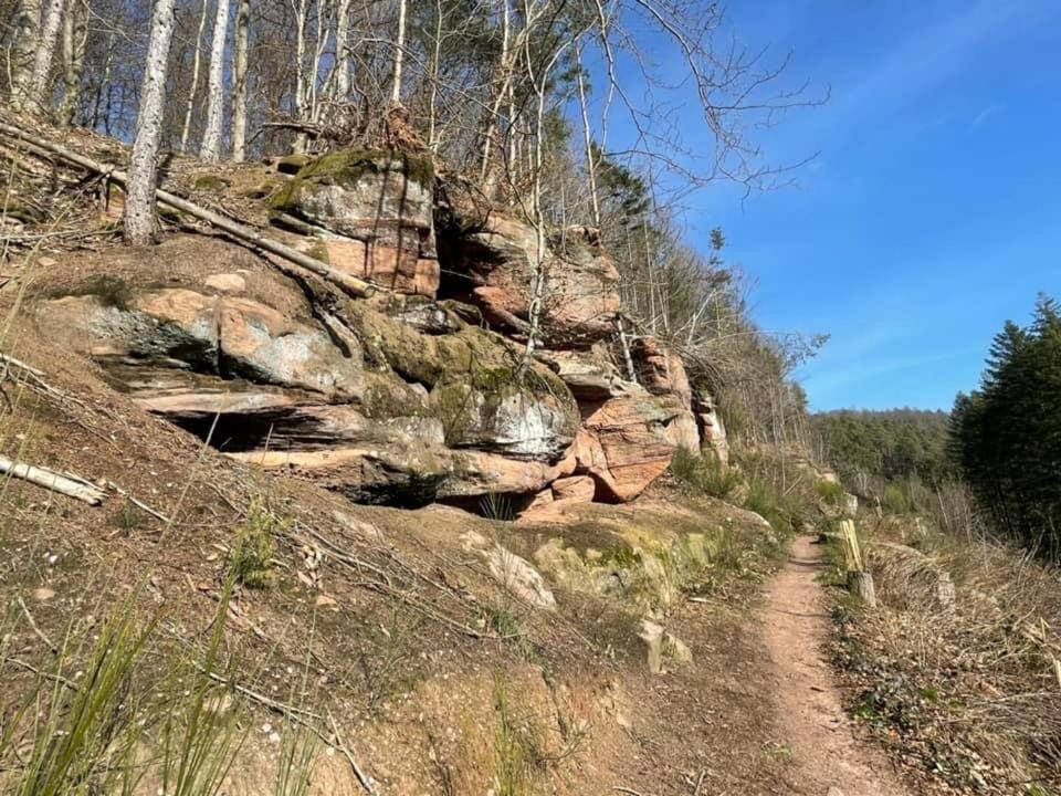 Ferienwohung Am Felsenwanderweg Im Pfaelzerwald Leilighet Rodalben Eksteriør bilde