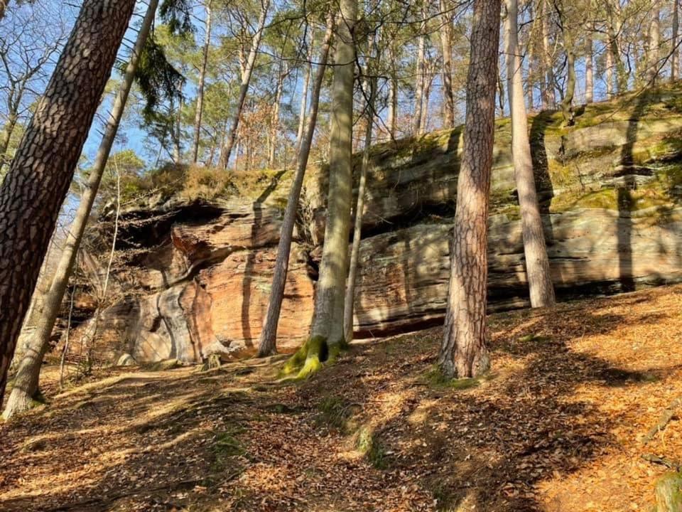 Ferienwohung Am Felsenwanderweg Im Pfaelzerwald Leilighet Rodalben Eksteriør bilde