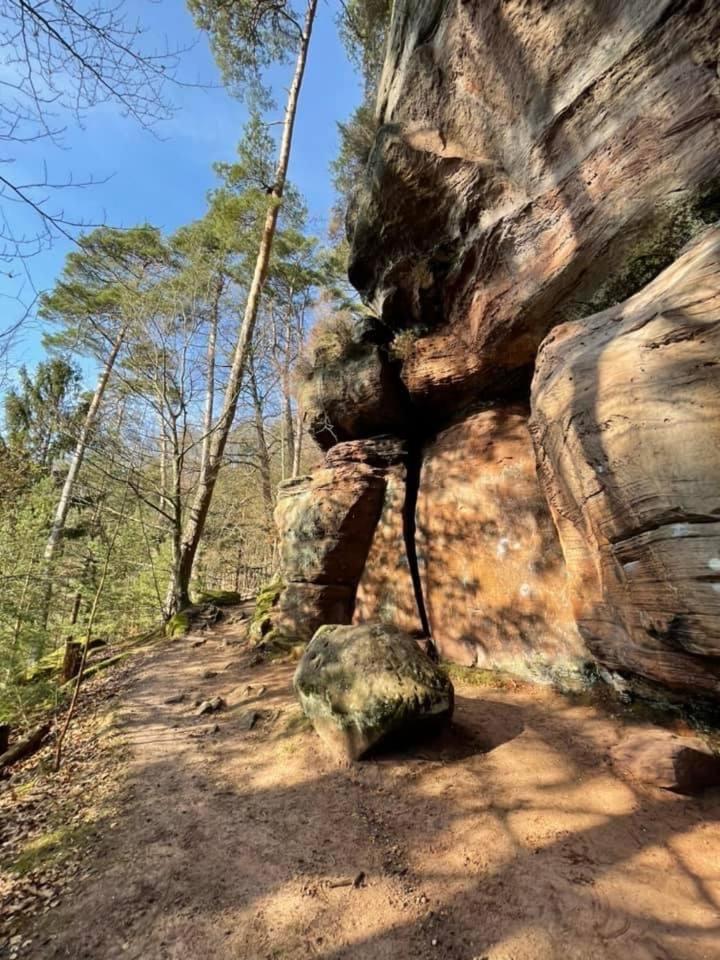 Ferienwohung Am Felsenwanderweg Im Pfaelzerwald Leilighet Rodalben Eksteriør bilde